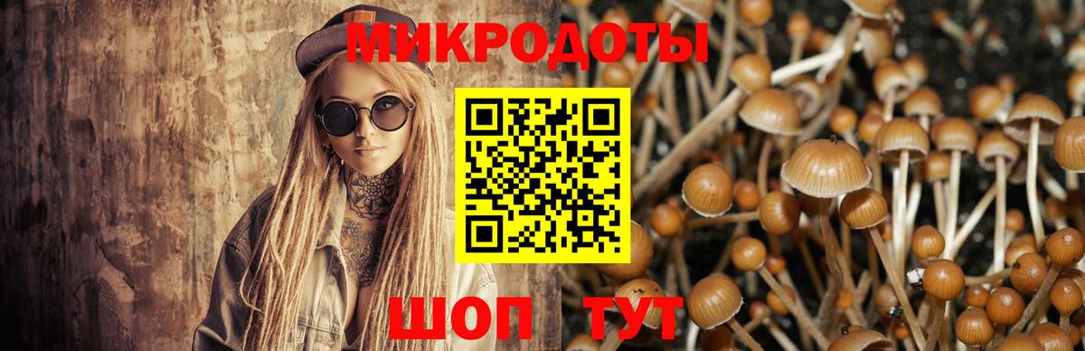 Железногорск  Псилоцибиновые грибы Magic Shrooms  Вход с VPN  Галлюциногенные грибы прущие грибы 