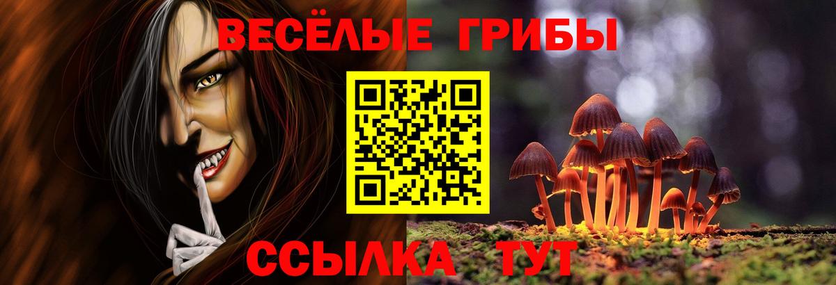 Псилоцибиновые грибы Psilocybine cubensis Железногорск